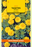 Tagetes Petite Yellow