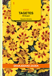 Tagetes Naughty Marietta