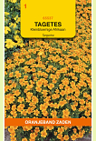 Tagetes Signata Pumila Oranje