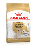 Royal Canin Hondenvoer Labrador Retriever Adult 5+ 12 kg