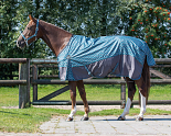 QHP Deken Turnout Collection 0 Gr Zigzag 195 cm