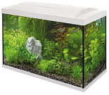 SuperFish aquarium Start 100 Tropical kit wit