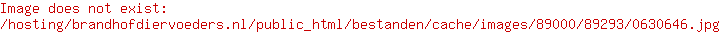 Beeztees Catnip Hengel Cactus Itou