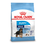 Royal Canin Hondenvoer Maxi Puppy 4 kg