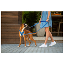 Rogz Hondentuig Utility Stop Pull Blauw