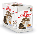 Royal Canin Kattenvoer Ageing 12+ In Jelly<br> 12 x 85 gr