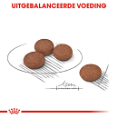 Royal Canin Hondenvoer Digestive Care Mini 3 kg