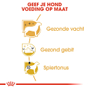 Royal Canin Hondenvoer Poodle Adult 1,5 kg