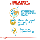 Royal Canin Hondenvoer Labrador Retriever Puppy 12 kg