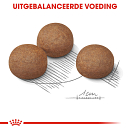 Royal Canin Hondenvoer Digestive Care Maxi 12 kg