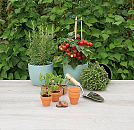 Sogo Stenen Terracotta Potjes 5/6 cm 9 st