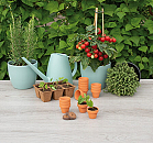 Sogo Stenen Terracotta Potjes 4/5 cm 12 st