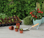 Sogo Plastic Potje Terracotta Kleur 6 cm