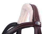 QHP Hoofdstel Ontario