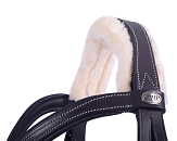 QHP Hoofdstel Ontario