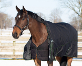 QHP Deken Combo Set Turnout - Onderdeken - Hals Zwart/Twist