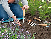 Sogo Pootstok Roestvrijstaal
