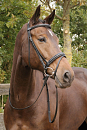 Harry's Horse hoofdstel Luxe zwart