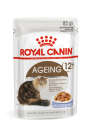 Royal Canin Kattenvoer Ageing 12+ In Jelly<br> 12 x 85 gr