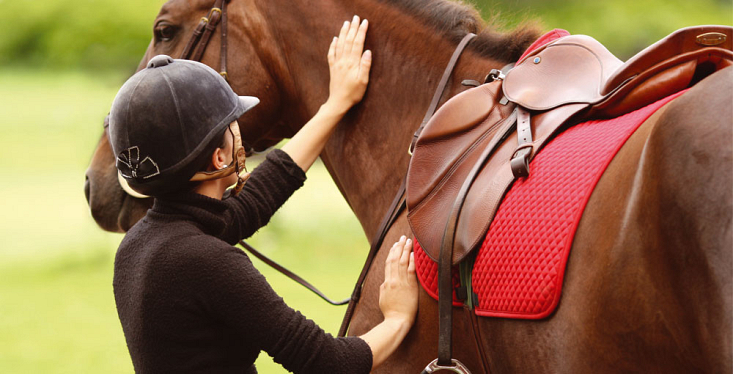 Meer paard en ruiter
