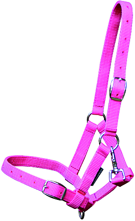 Harry's Horse veulenhalster