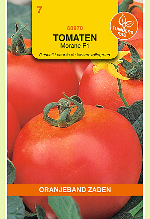 Tomaten Meran/Morane F1 Hybride