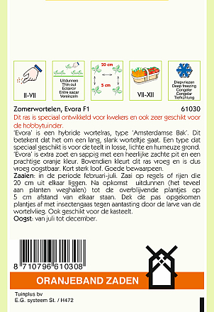 Zomerwortelen Evora F1 Hybride