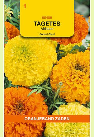 Tagetes Sunset Giants Gemengd