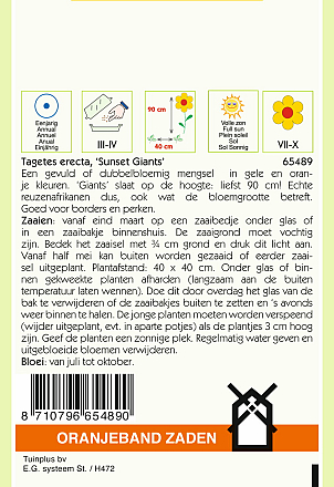 Tagetes Sunset Giants Gemengd