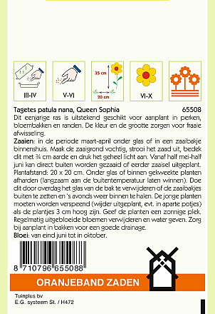 Tagetes Queen Sophia