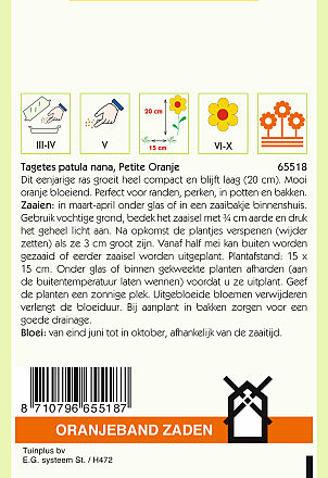 Tagetes Petite Oranje