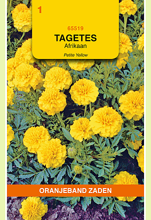 Tagetes Petite Yellow