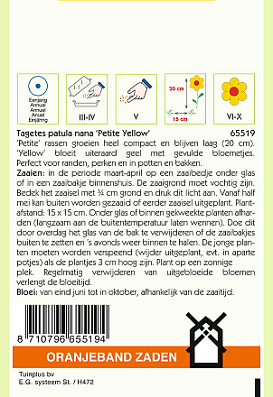 Tagetes Petite Yellow