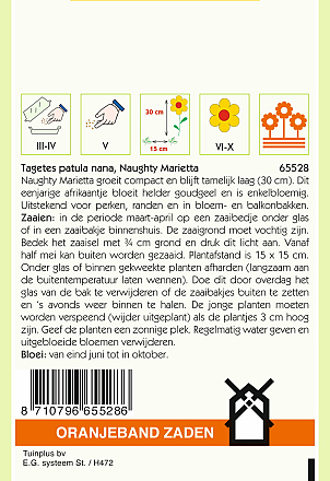 Tagetes Naughty Marietta