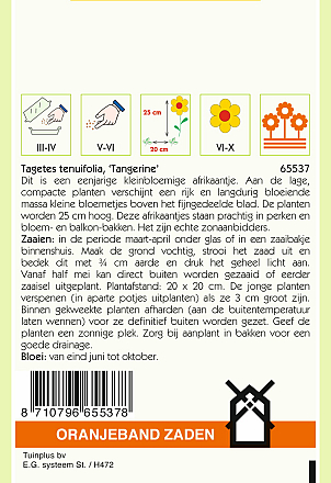 Tagetes Signata Pumila Oranje
