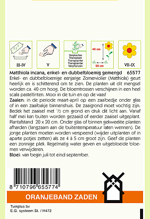 Zomerviolieren Enk./Dub. Gemengd