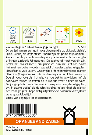 Zinnia Elegans Dahliabloemig Gemengd