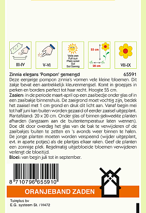 Zinnia Pompon Gemengd