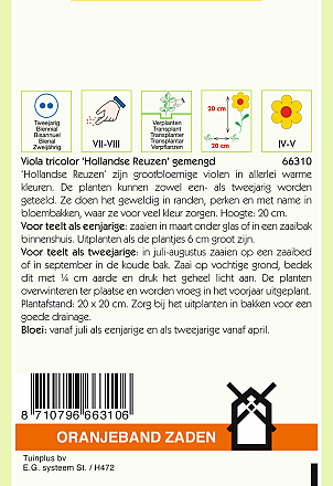 Viola Hollandse Reuzen Gemengd