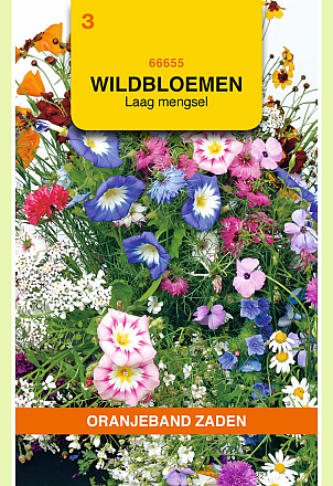 Wildbloemenmengsel Laag 1 Jarig