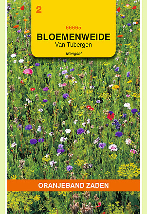 Van Tubergen Bloemweide Mix