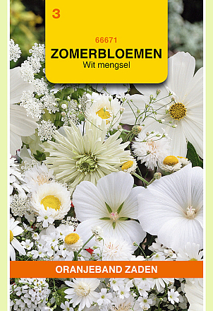 Zomerbloemen Gemengd Wit