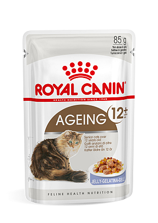 Royal Canin kattenvoer Ageing 12+ in Jelly <br>12 x 85 gr