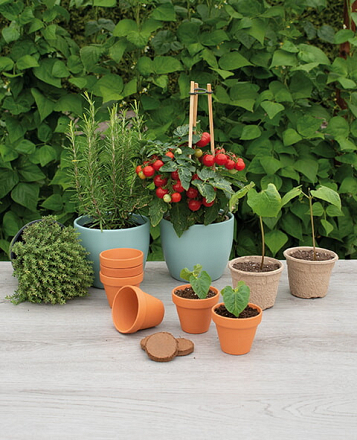 Sogo Stenen Terracotta Potjes 7/8 cm 7 st