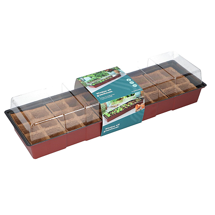 Sogo Vensterbank Kweekkas incl. 30 turfpotjes