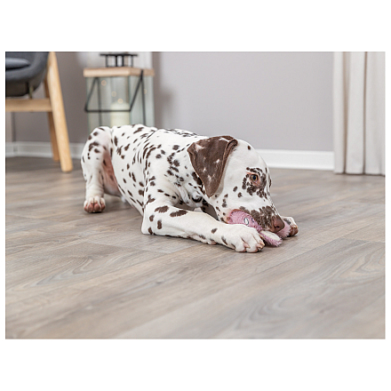 TRIXIE Junior Haas Ring