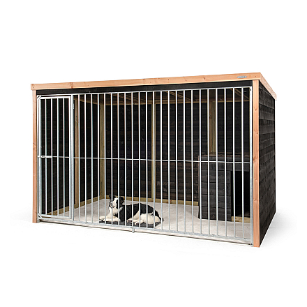 Voldux Hondenkennel Bo