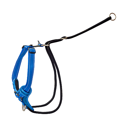 Rogz Hondentuig Utility Stop Pull Blauw