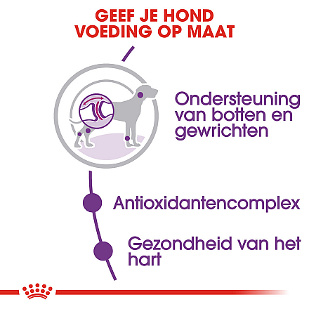Royal Canin Hondenvoer Giant Adult 15 kg