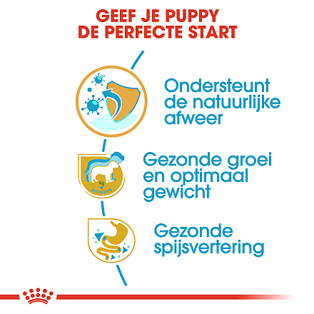 Royal Canin Hondenvoer Labrador Retriever Puppy 12 kg